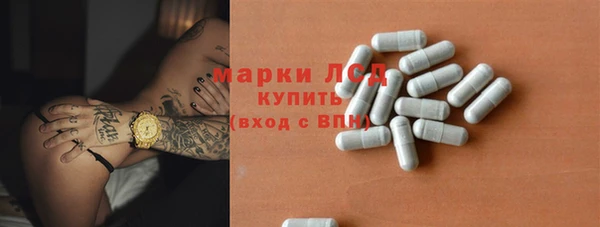 индика Приозерск