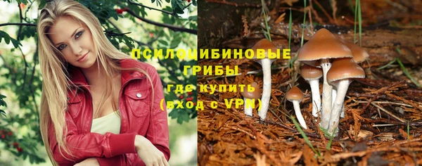 сатива Армянск