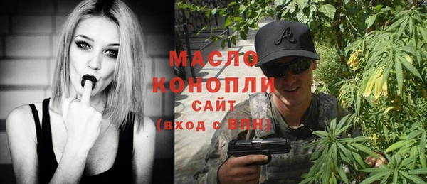 индика Приозерск